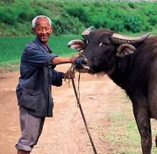 小型飼料顆粒機(jī),農(nóng)民圓夢(mèng)！